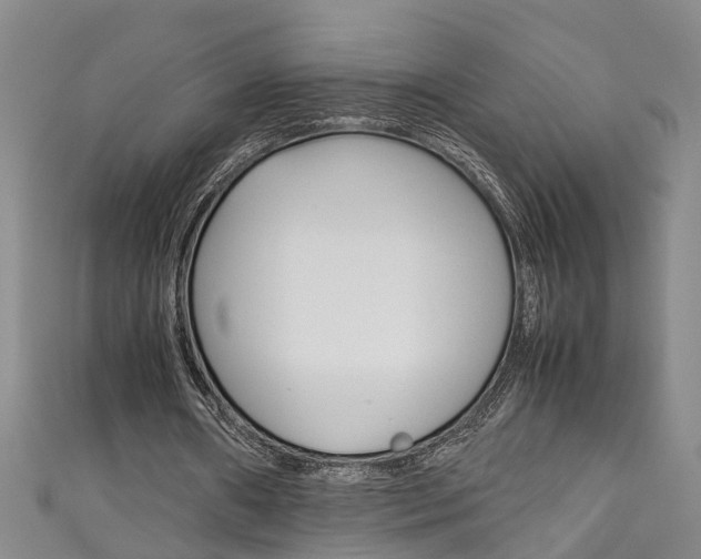 X0000111210482200907011054