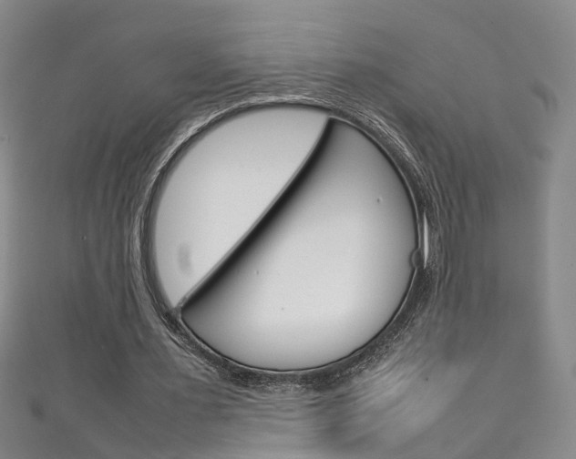 X0000111210483200907011054