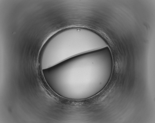X0000111210484200907011054