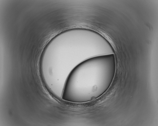 X0000111210485200907011054