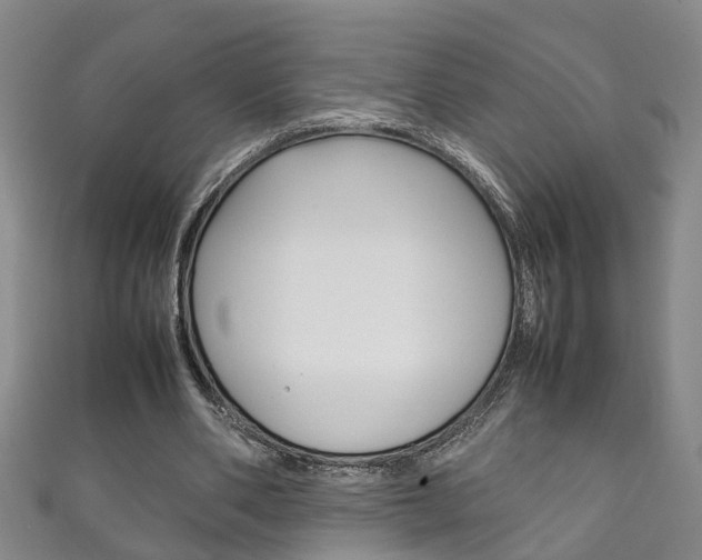X0000111210486200907011054