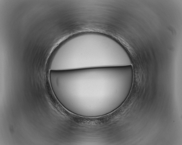 X0000111210488200907011054