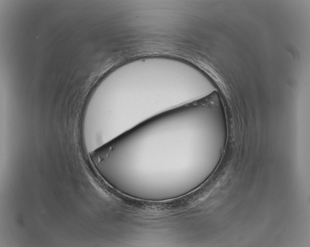 X0000111210489200907011054