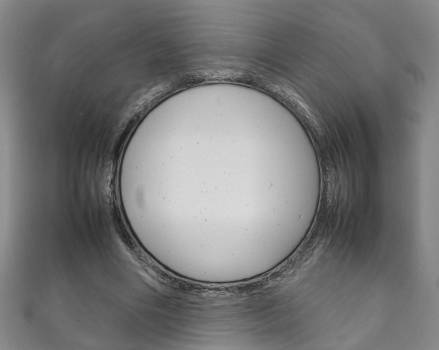 X0000111210490200907011054