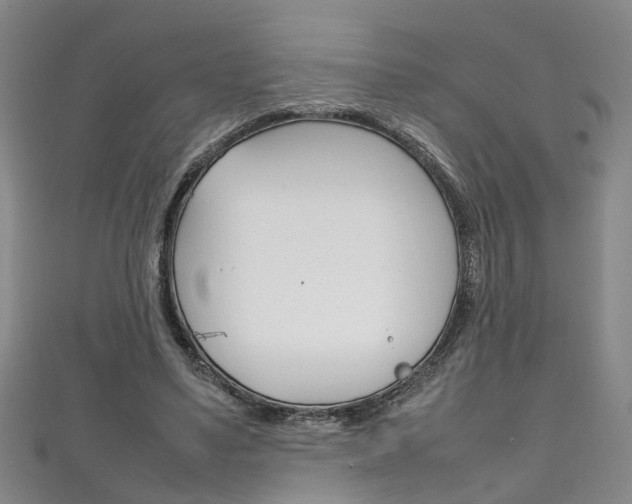 X0000111210491200907011054