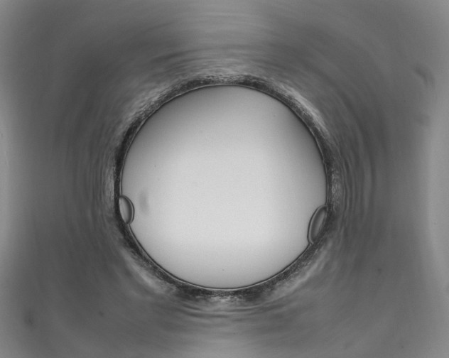 X0000111210493200907011054