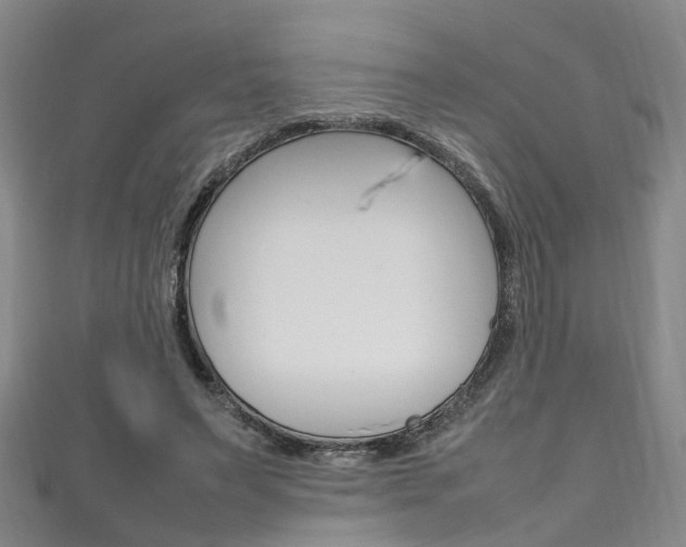 X0000111210495200907011054
