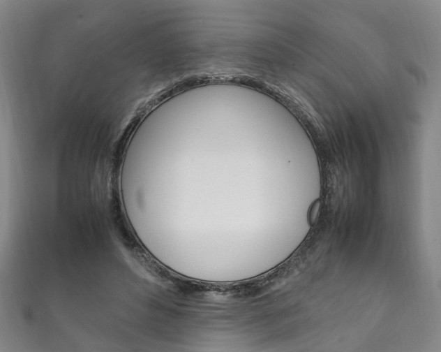 X0000111210496200907011054