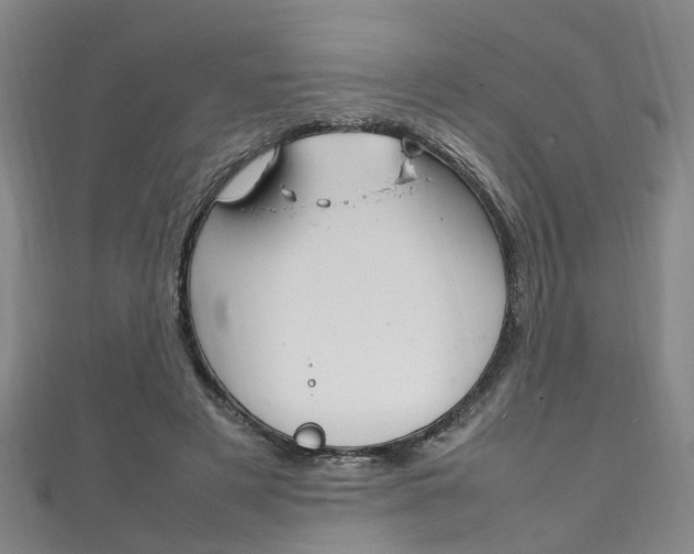 X0000111210497200907011054