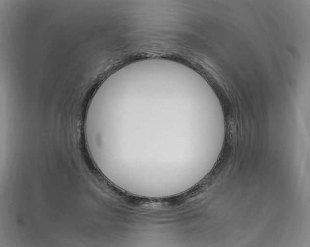 X0000111210499200907011054