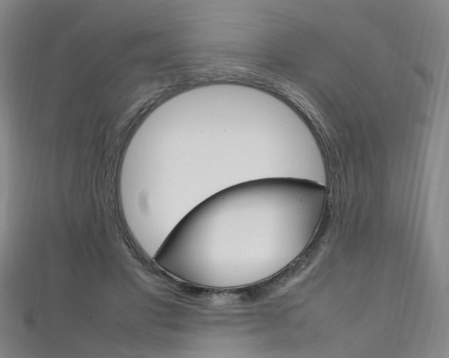 X0000111210501200907011054