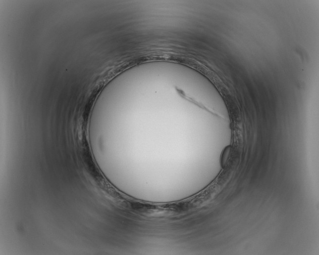 X0000111210504200907011054