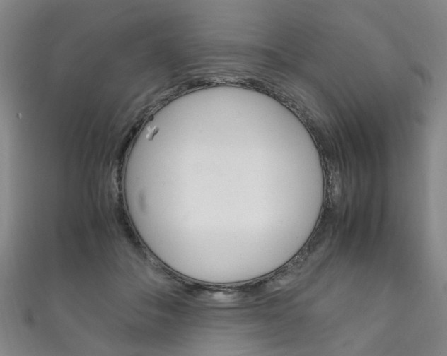 X0000111210506200907011054