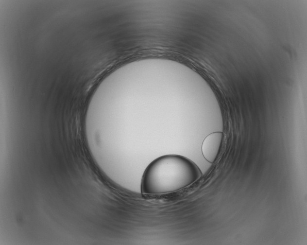X0000111210508200907011054