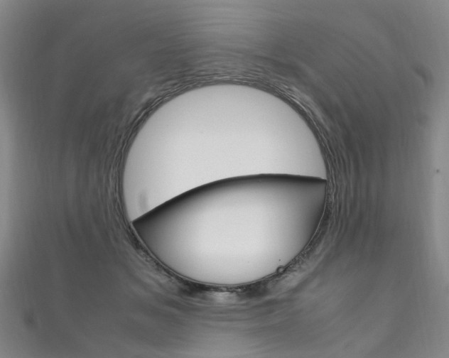 X0000111210509200907011054