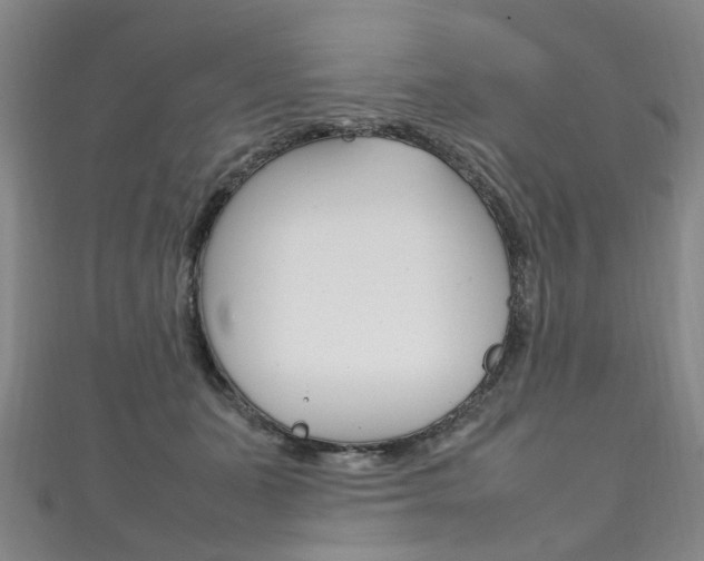 X0000111210511200907011054
