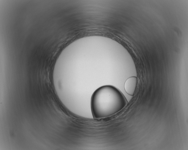 X0000111210512200907011054
