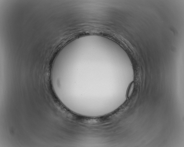 X0000111210513200907011054