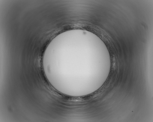 X0000111210514200907011054