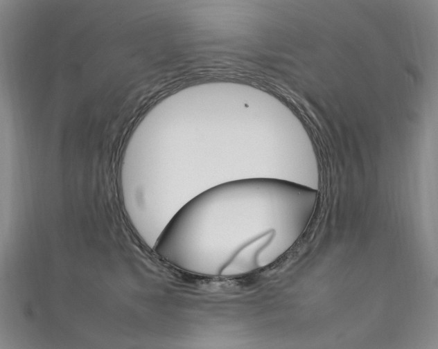 X0000111210517200907011054