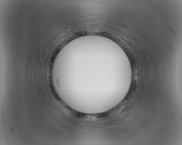 X0000111210519200907011054