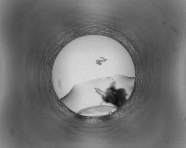 X0000111210521200907011054