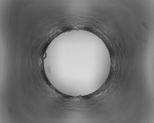 X0000111210523200907011054