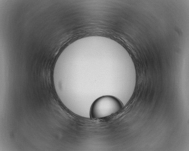 X0000111210524200907011054