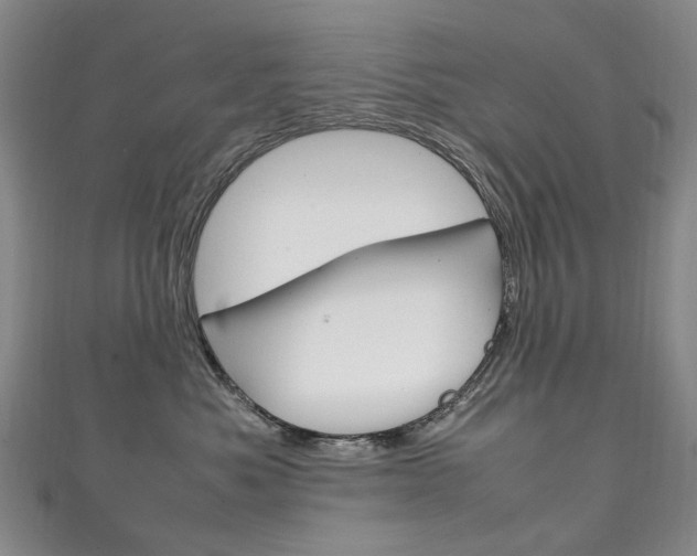 X0000111210525200907011054