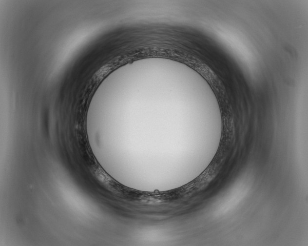 X0000111210526200907011054