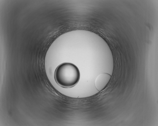 X0000111210528200907011054