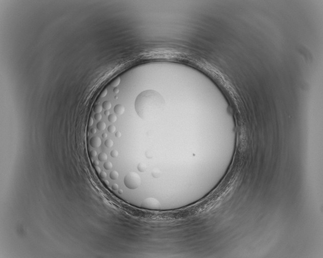 X0000111210529200907011053