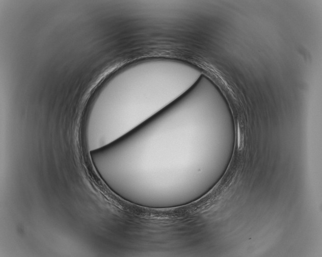 X0000111210531200907011053