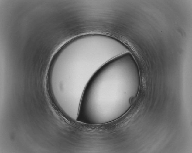 X0000111210532200907011053