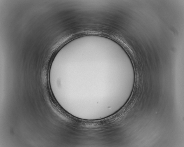 X0000111210533200907011053