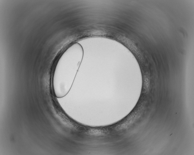 X0000111210534200907011053