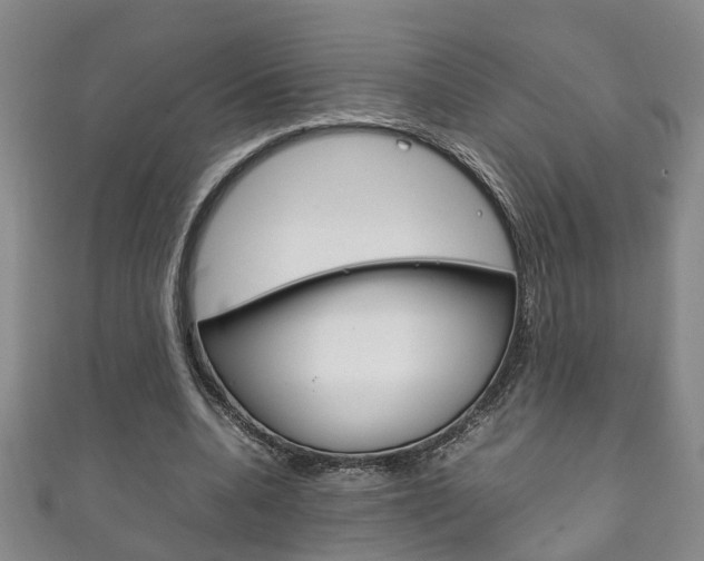 X0000111210536200907011053