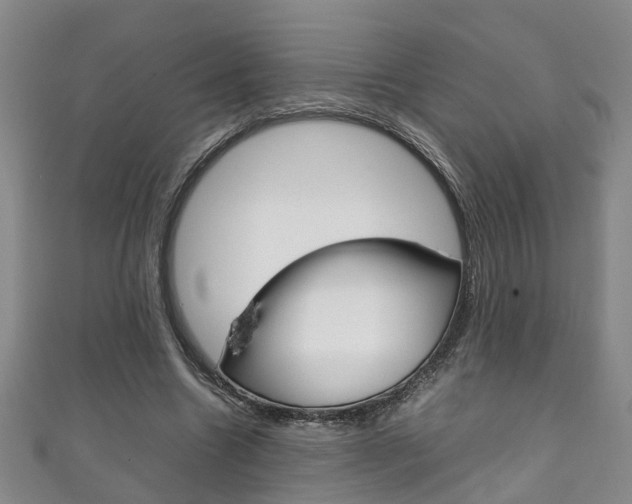 X0000111210538200907011053