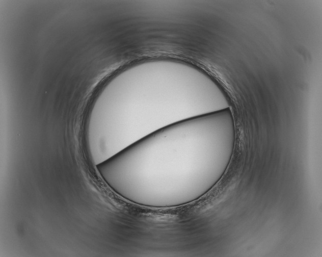 X0000111210539200907011053