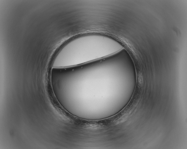 X0000111210540200907011053