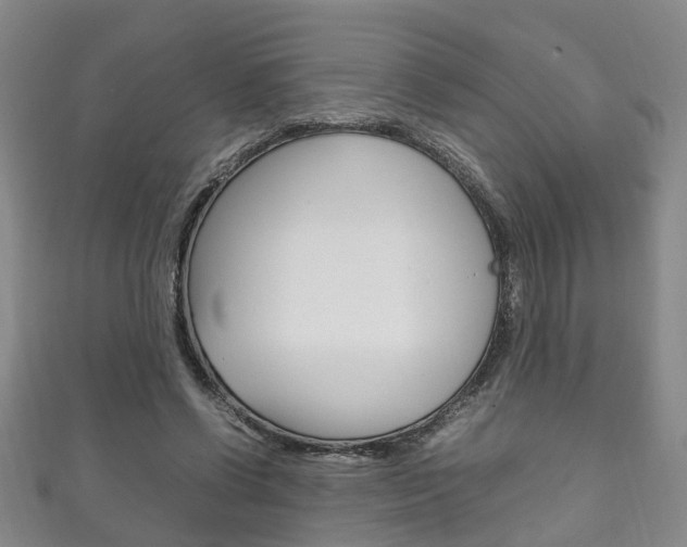 X0000111210542200907011053