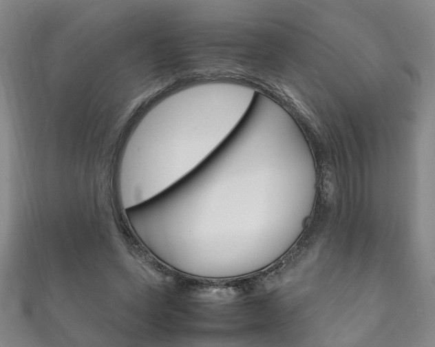 X0000111210543200907011053