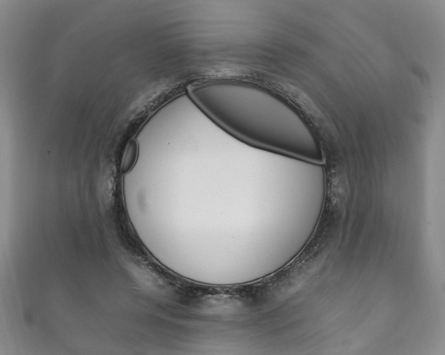 X0000111210544200907011053