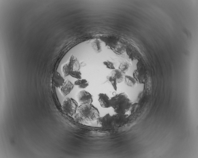 X0000111210545200907011053