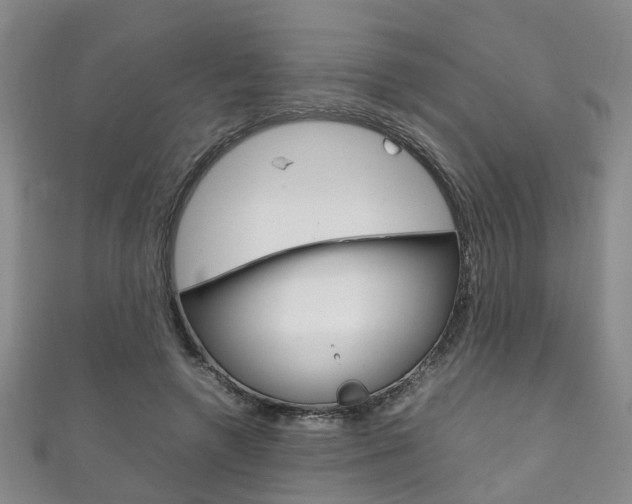 X0000111210546200907011053