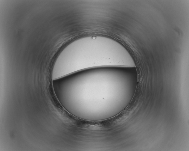 X0000111210548200907011053