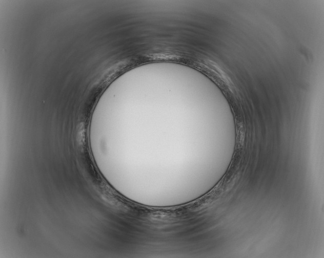 X0000111210549200907011053