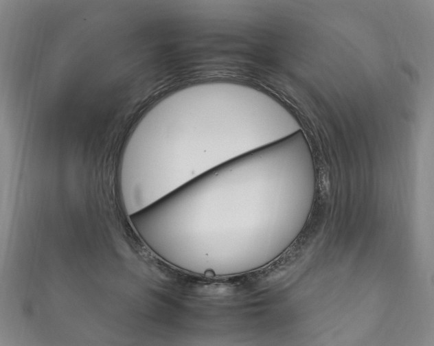 X0000111210551200907011053