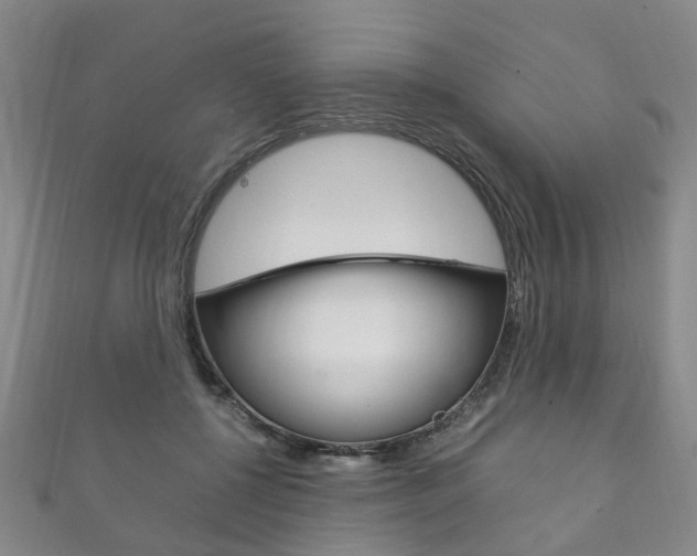 X0000111210552200907011053