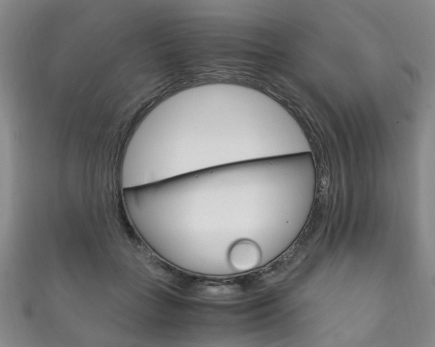 X0000111210555200907011053